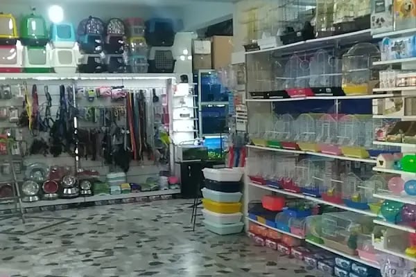 Efe Petshop - Resim 10