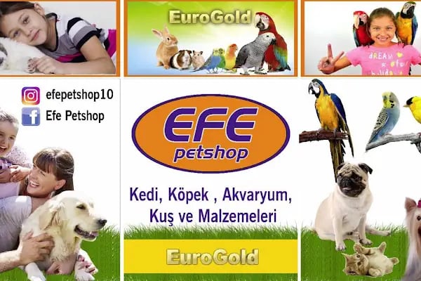Efe Petshop - Resim 18