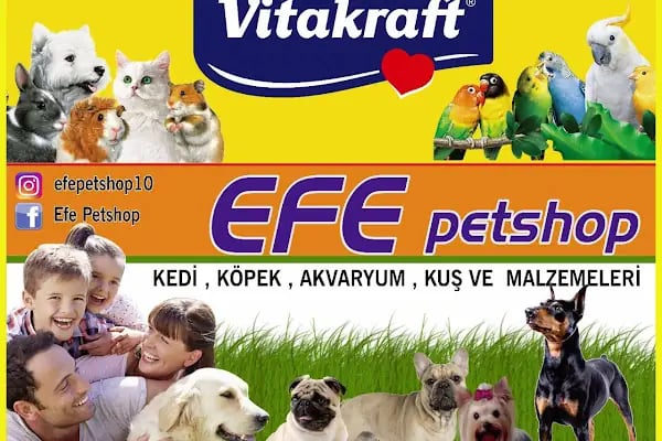 Efe Petshop - Resim 14