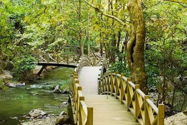 Sadağı Kanyonu Tabiat Parkı - Resim 2