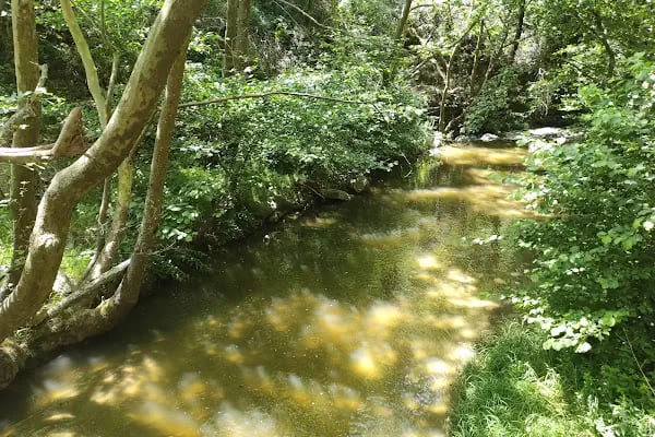 Sadağı Kanyonu Tabiat Parkı - Resim 19