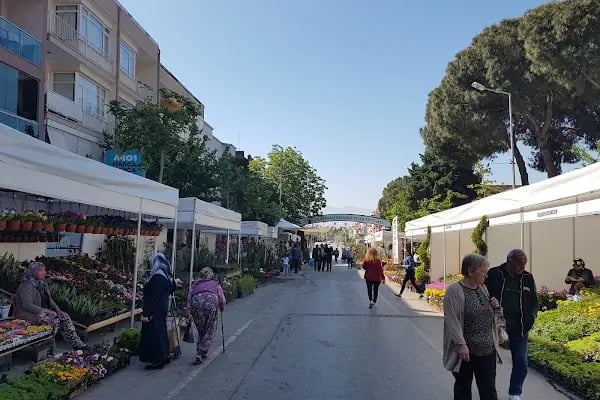 Bayındır Vergi Dairesi - Resim 1