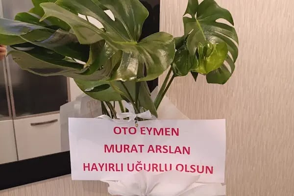 Masal Çiçekçilik - Resim 4