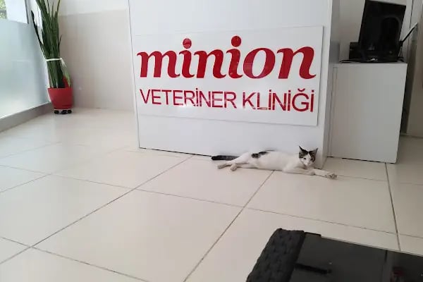 Minion Veteriner Kliniği - Resim 3