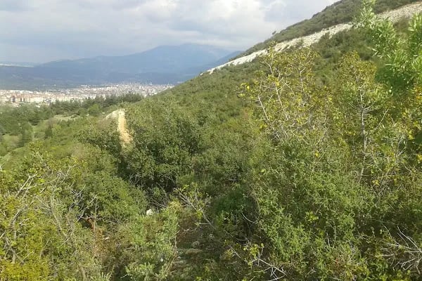 Beyaz Sahne - Resim 6