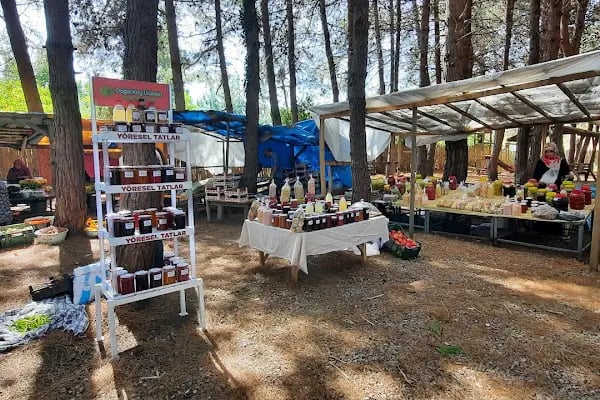alaçamdan Gökçeboğaz Köy Ürünleri Pazarı (Gökçeboğaz Kadın Kooperatifi) - Resim 6