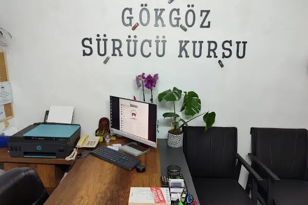 ANKARA ÇAMLIDERE GÖKGÖZ SÜRÜCÜ KURSU - Resim 12