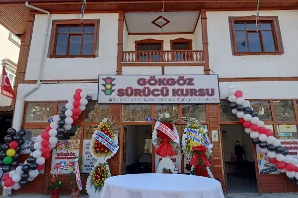 ANKARA ÇAMLIDERE GÖKGÖZ SÜRÜCÜ KURSU - Resim 5