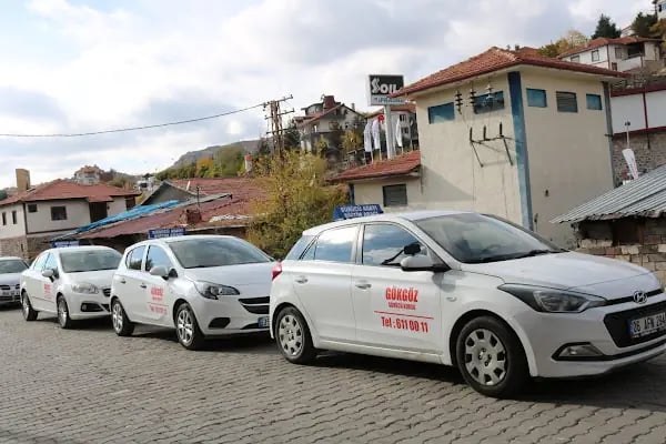 ANKARA ÇAMLIDERE GÖKGÖZ SÜRÜCÜ KURSU - Resim 3