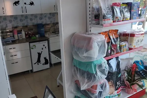 Demirel Veteriner Kliniği (Acil - Resim 6