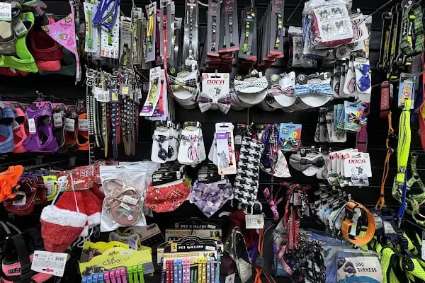 Antalya Liman Petshop - Resim 19
