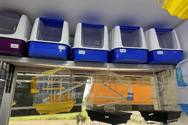 Antalya Liman Petshop - Resim 15