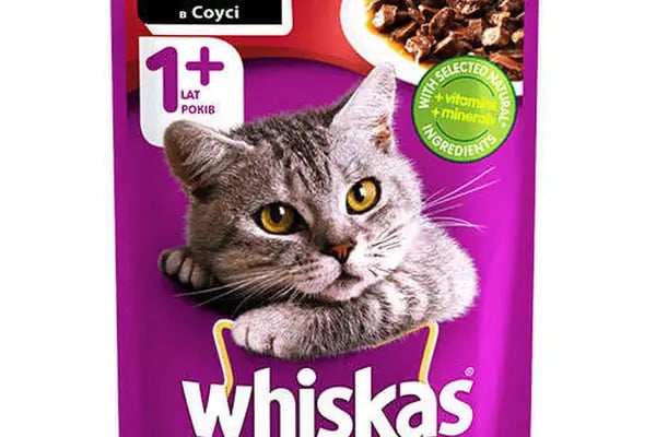 Mesken Petshop - Resim 3
