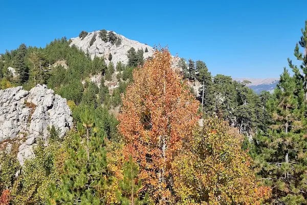 Ikievli yaylası - Resim 2