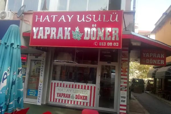 Yaprak Döner - Resim 1