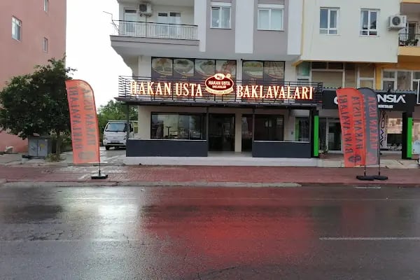 Hakan Usta Döşemealtı - Resim 2