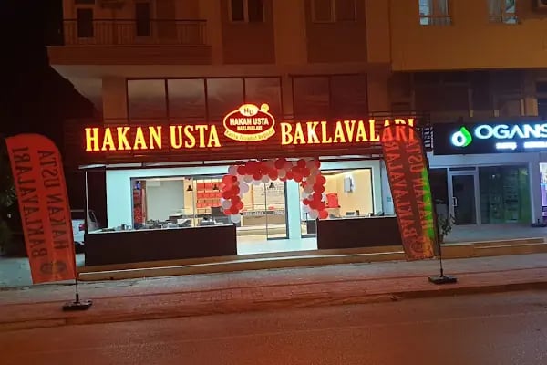 Hakan Usta Döşemealtı - Resim 16