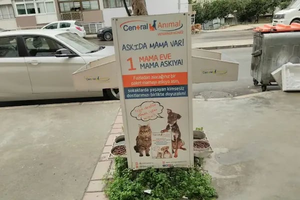 Pets&Vets Veteriner Kliniği - Resim 19