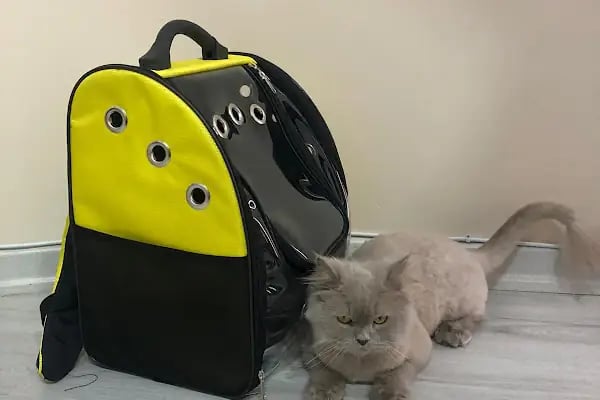 Pets&Vets Veteriner Kliniği - Resim 13