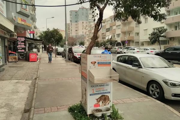 Pets&Vets Veteriner Kliniği - Resim 9