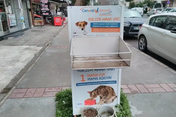 Pets&Vets Veteriner Kliniği - Resim 17