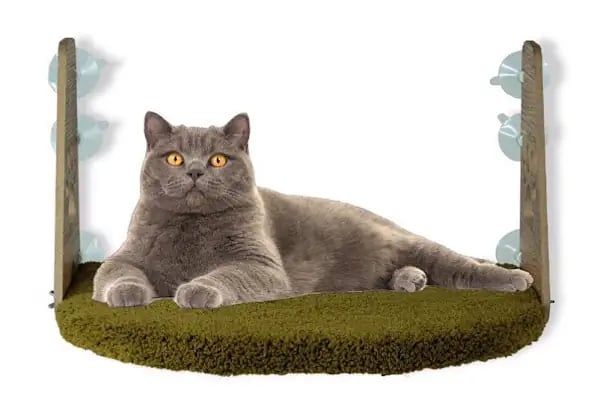 Robin Ticaret (PetShop) - Resim 4