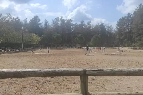 Orfe Tatil Köyü - Resim 2
