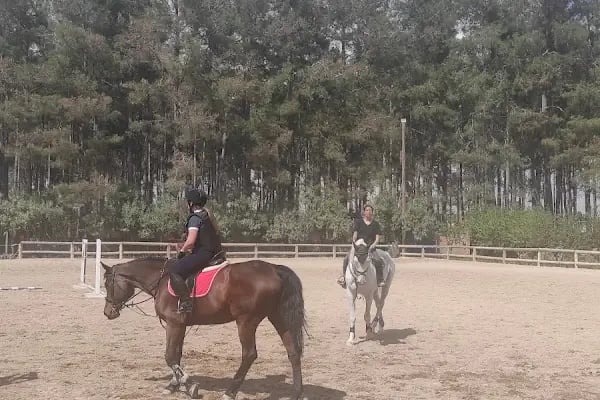 Orfe Tatil Köyü - Resim 3