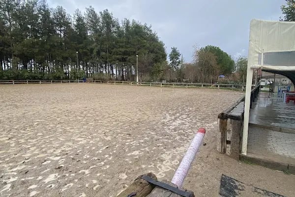 Orfe Tatil Köyü - Resim 4