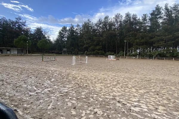 Orfe Tatil Köyü - Resim 6