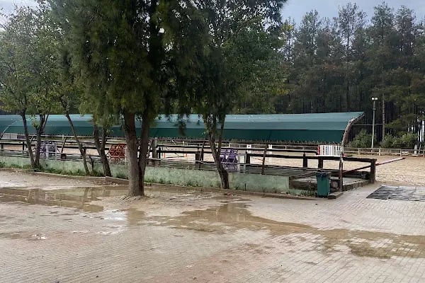 Orfe Tatil Köyü - Resim 5