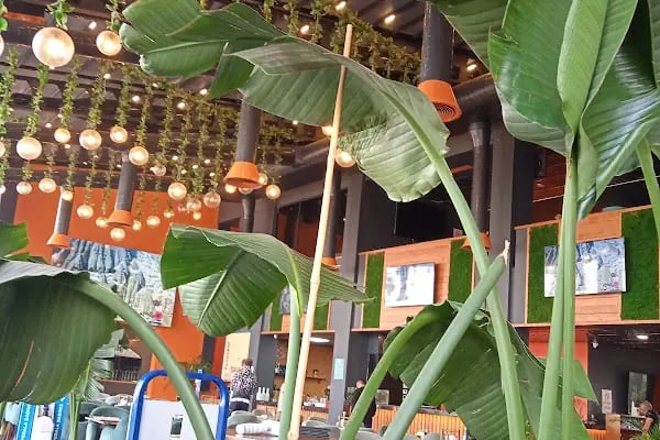 Cassava Cafe & Restaurant - Resim 17