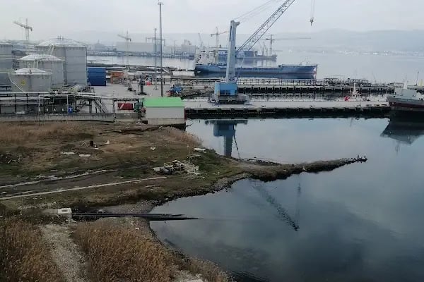 Yıldız Entegre Başiskele Tesisi - Resim 5