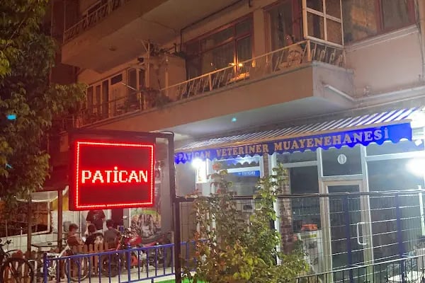 Patican Veteriner Kliniği ( ORVET İZNİK Orhangazi ) - Resim 6