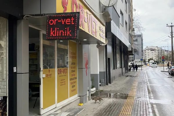 Patican Veteriner Kliniği ( ORVET İZNİK Orhangazi ) - Resim 2
