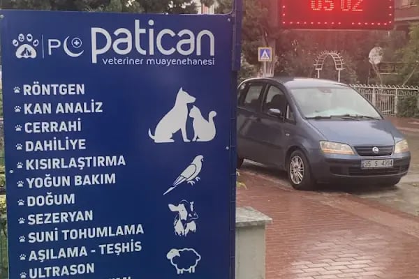 Patican Veteriner Kliniği ( ORVET İZNİK Orhangazi ) - Resim 19