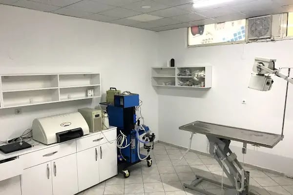 Patican Veteriner Kliniği ( ORVET İZNİK Orhangazi ) - Resim 4