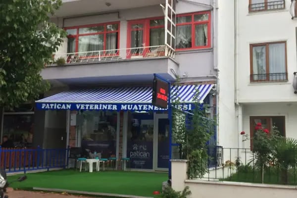Patican Veteriner Kliniği ( ORVET İZNİK Orhangazi ) - Resim 14