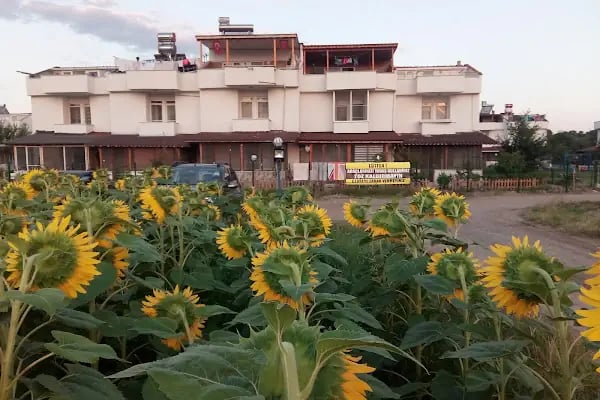 HAS Tatil sitesi - Resim 4