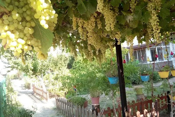 HAS Tatil sitesi - Resim 9