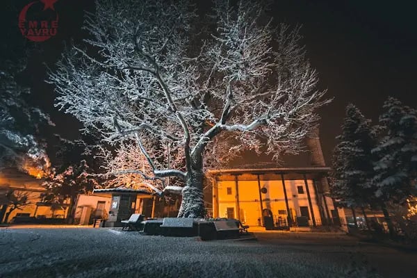 Yazır Hacı Ömerağa cami - Resim 17