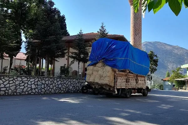 Yazır Hacı Ömerağa cami - Resim 20