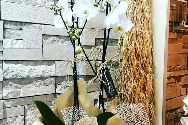 Bodrum Çiçekçilik - Busem Çiçekçilik - Resim 13
