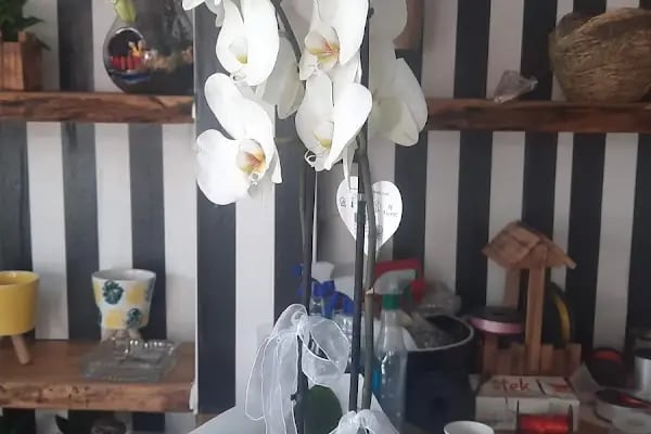 Bodrum Çiçekçilik - Busem Çiçekçilik - Resim 7