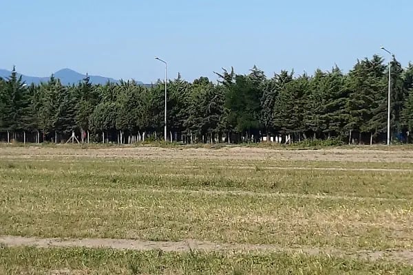 Çadır Kent Camping - Resim 10