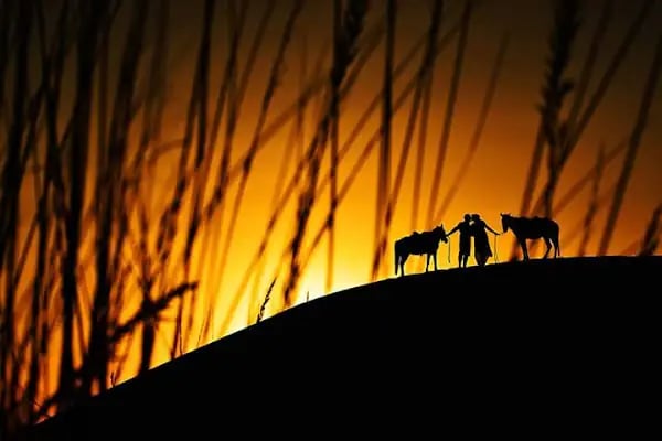 Kristal Fotoğrafçılık - Resim 1