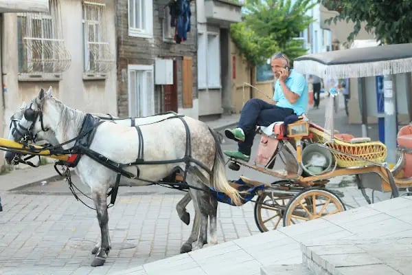 İstanbul Şehir Hatları Heybeliada Vapur İskelesi - Resim 20