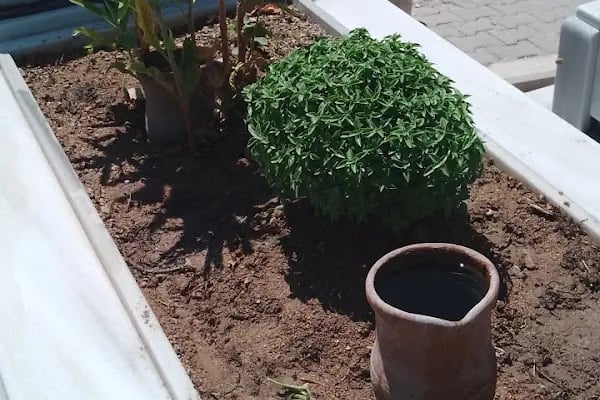 Dogancay Yeni Mezarligi - Resim 13