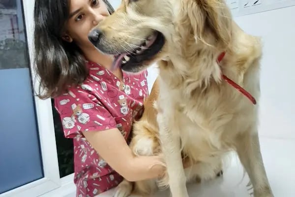 Queen Veteriner Kliniği - Resim 12