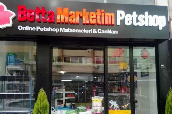 Betta Marketim Petshop - Resim 1